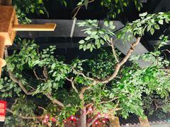 -乾园(天河城店)