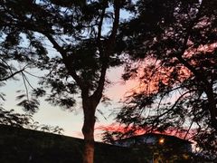 -梅州天地人花园酒店(梅县人民广场店)