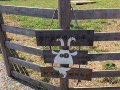 -前小桔亲子创意农场·草莓采摘·露营烧烤