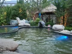 -太白山御龙湾温泉