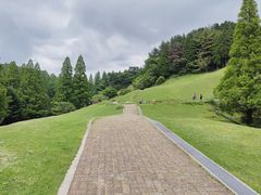 -神户市立六甲山牧场