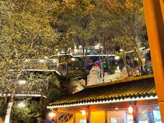 -巴倒烫陆派重庆火锅(南山店)