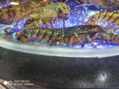 -盒马鲜生(悠方店)