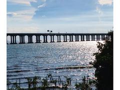 -宝安西湾红树林湿地公园