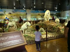 -陕西自然博物馆