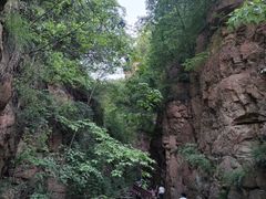 -伏羲大峡谷