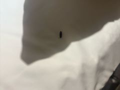 -上海漕河泾万丽酒店