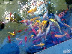 -泉乐坊步行街(烟酒特产平价超市店)