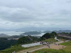 -黄贤森林公园