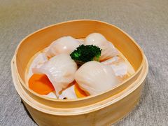凱逸轩虾饺皇-凯逸轩·匠心粤菜(中城名仕汇店)