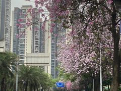 -优逸酒店(柳州窑埠古镇万象城店)