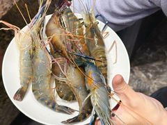 -初色海鲜自助(万丰路店)