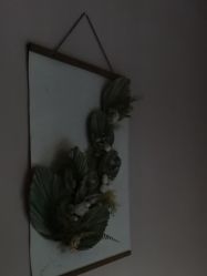 -恒美雅轩·品牌直营连锁