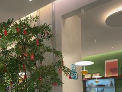 -Aqua Oasis 水天堂(太湖中心mall店)