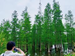 -白鹭湾湿地公园