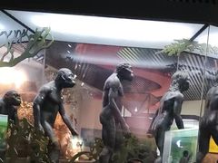 -云南省博物馆