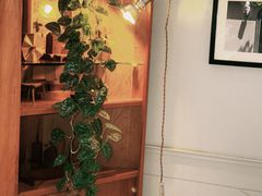 -一尺花园(安和花园店)