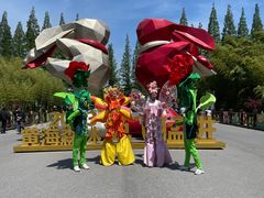 -黄海国家森林公园