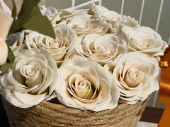 -太食獸泰式茶餐厅(北美新天地店)