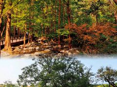 -国家植物园南园