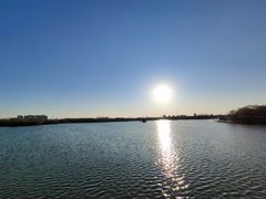 -大兴滨河森林公园