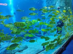 -正佳极地海洋世界