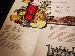 -Long Bar(莱佛士酒店)