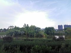 -琅岐红光湖公园
