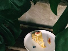 芒果千层-懒鱼时光馆(沙坪坝店)