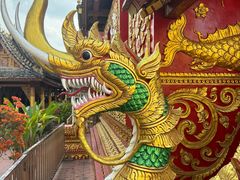 -西双版纳傣族园
