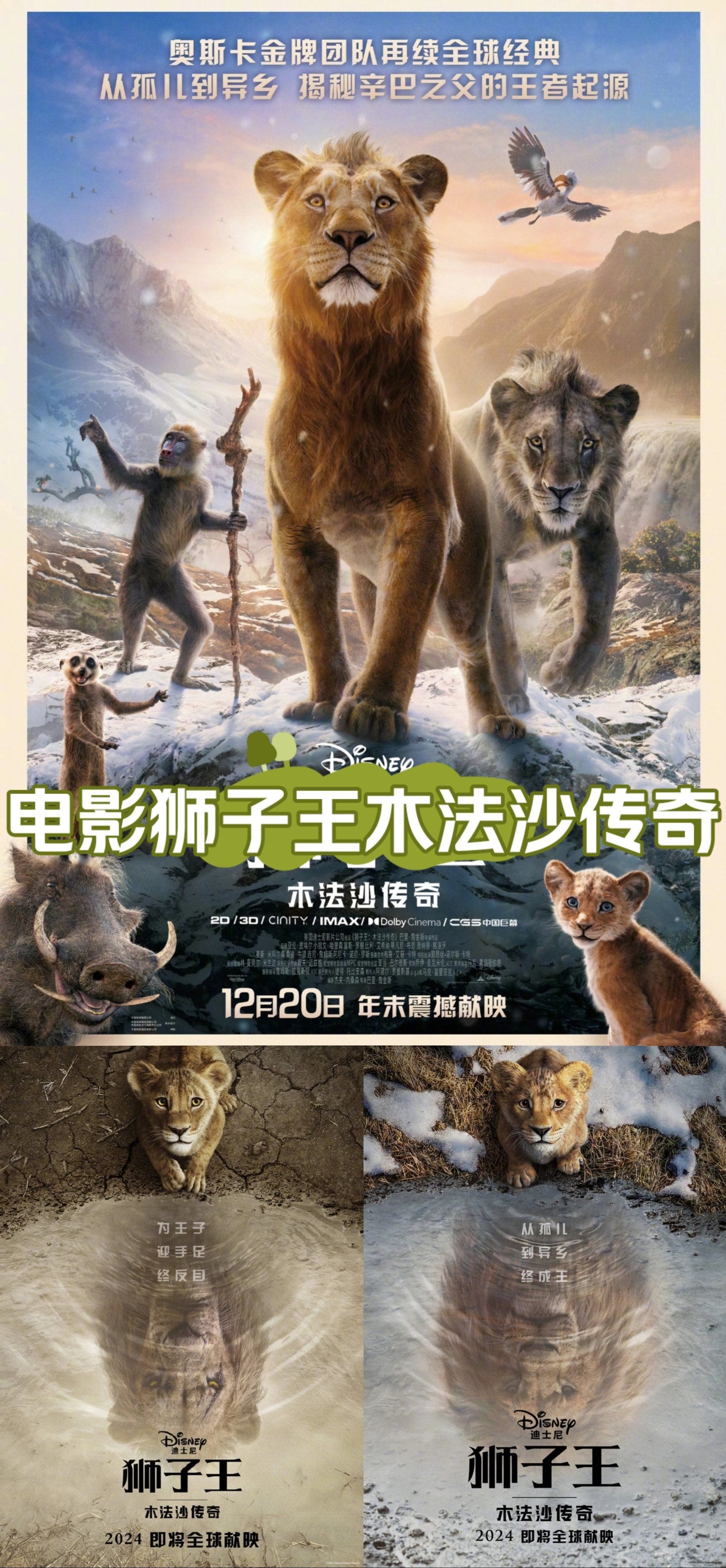 狮子王木法沙传奇电影海报