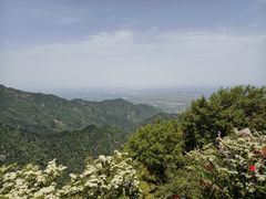 -秦岭终南山世界地质公园翠华山景区