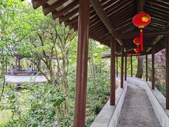 -上海醉白池公园