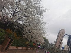 景点-鲁迅公园