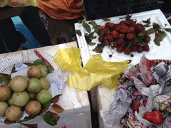 -东兴口岸-中越友谊大桥