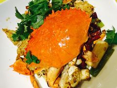 -石头咕(葵蓬店)