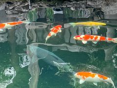 -荐悫堂(锦江新天地店)