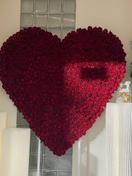 -美愈美肤MEIYU SKIN