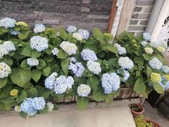 -妈妈的味道·腾冲特色菜(和顺古镇店)