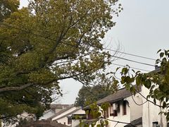 -文魁斋