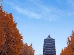 -玲珑塔公园