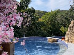 -天目湖御水温泉·度假酒店