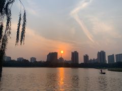 -莲花池公园