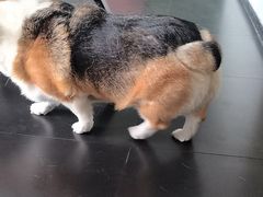 -简象咖啡CAFE ELE JANE(满陇桂雨店)