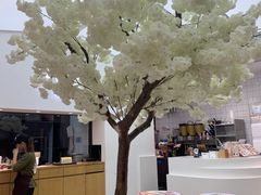 -艾薯夫妇Aysh(福田星河COCOPark店)
