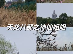 -阳澄湖半岛旅游度假区