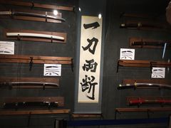 -东京塔海贼王主题公园