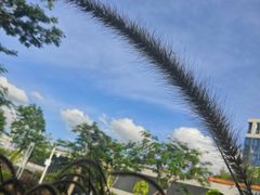 -深圳市人才园(深南大道店)