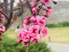 -北京明城墙遗址公园