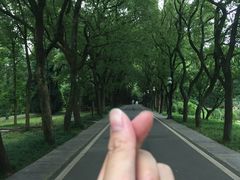 -东湖落雁景区
